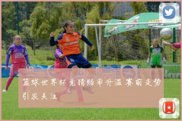 篮球世界杯竞猜赔率升温 赛前走势引发关注